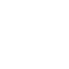 International Practice